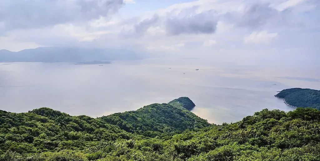 普陀山禅意之旅丨中国普陀丨KLID达观-71