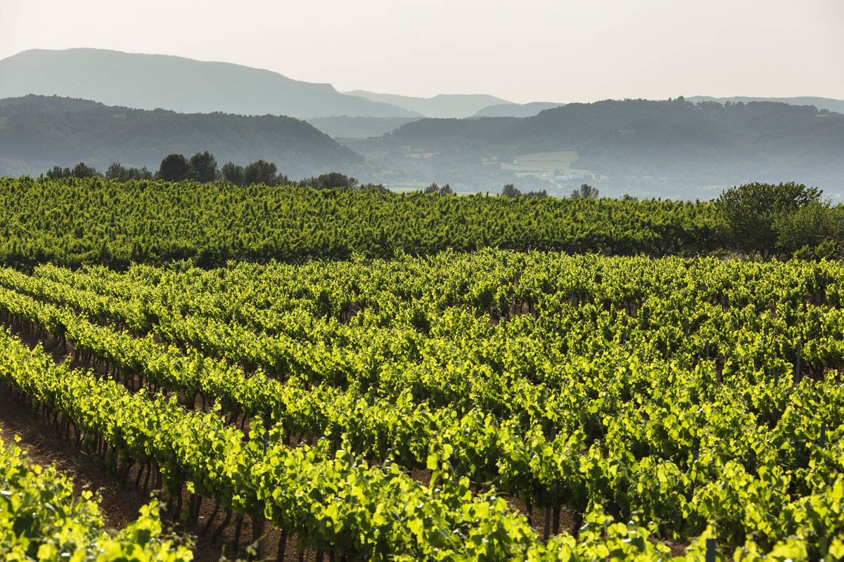 06 10 RECAREDO TASTING AREA-23