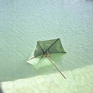 三文鱼丨中国杭州丨為设计（FOR YOU DESIGN）-21