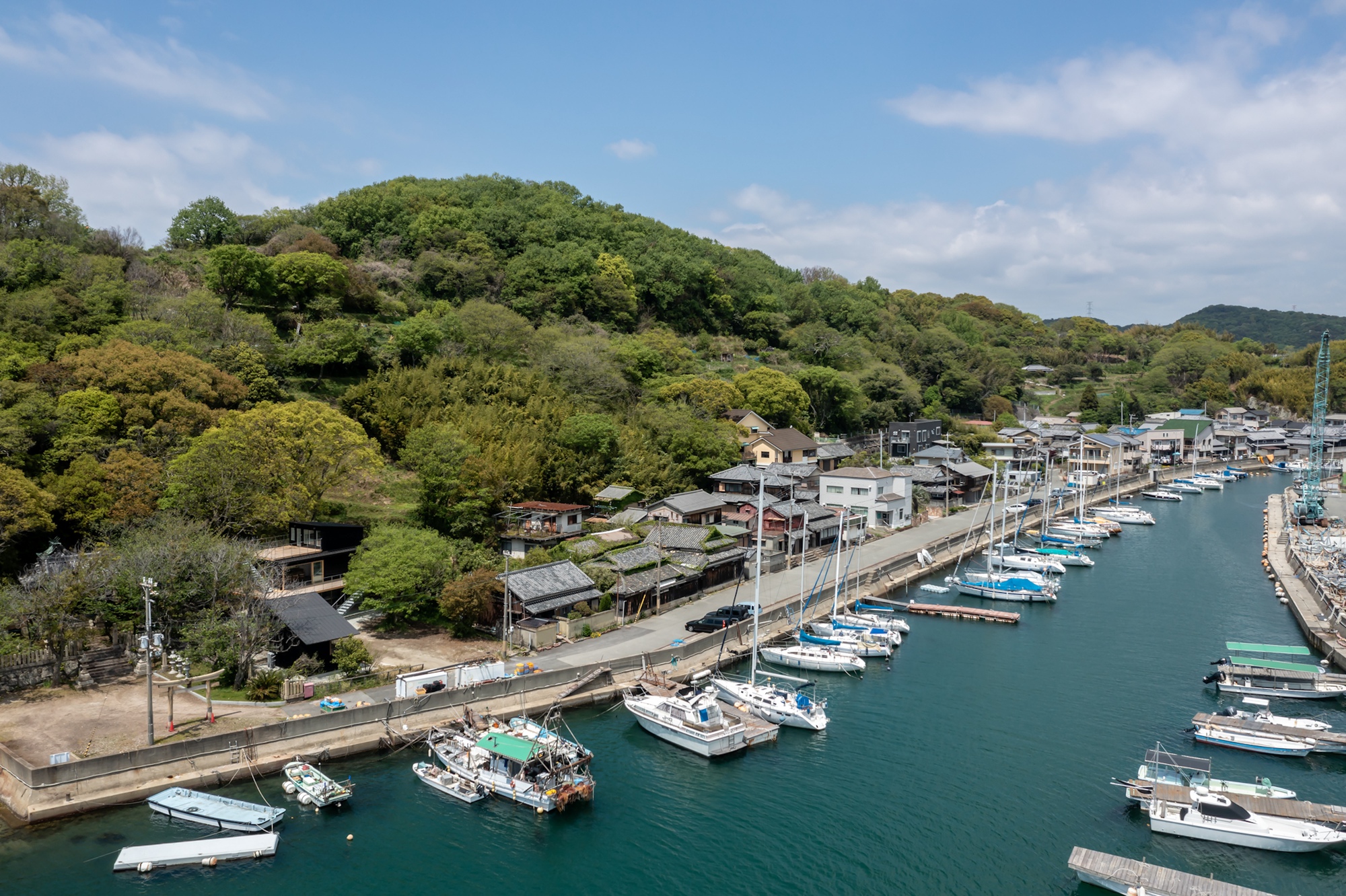 丨日本兵库丨lyhty-62