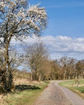 2026年复活节之旅