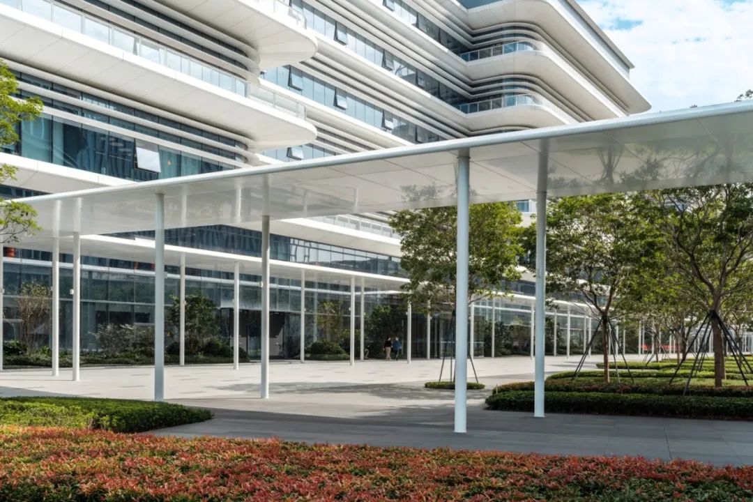 OPPO 智能制造中心项目 B 地块一期北区厂房园林景观分包工程丨萨尔瓦多滨海丨广州普邦园林股份有限公司-27