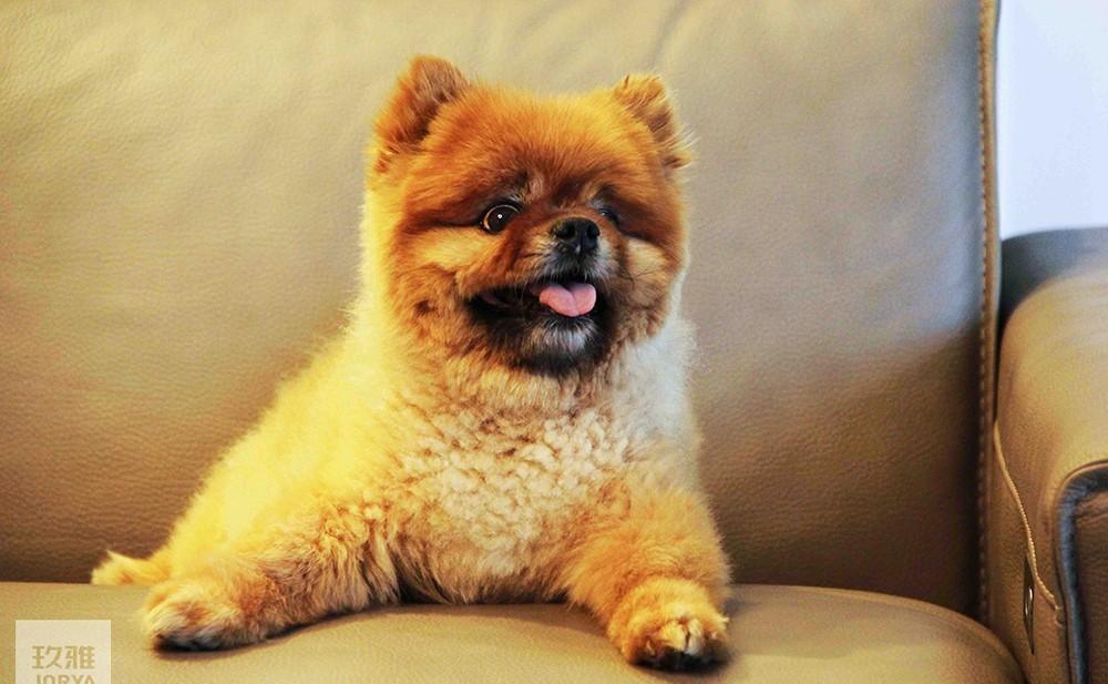 混搭风餐厅 | 岛台餐桌一体,中西厨结合-74