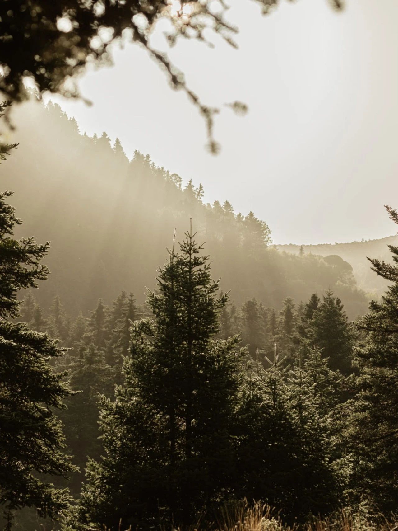 MANNA 酒店丨希腊丨KStudio-12