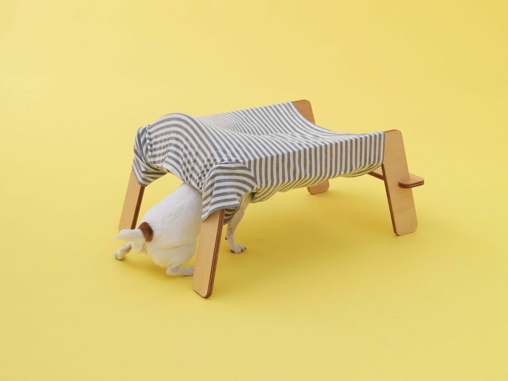 国际爱犬日特别策划 | 创意犬屋设计大赏-31