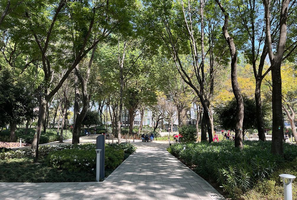 墨西哥城伊比利亚美洲科技大学分校

注：ITESM 一般指墨西哥伊比利亚美洲科技大学（Instituto Tecnológico y de Estudios Superiores de Monterrey），根据具体内容可能会有差异，若有更准确信息可进一步校正 -5