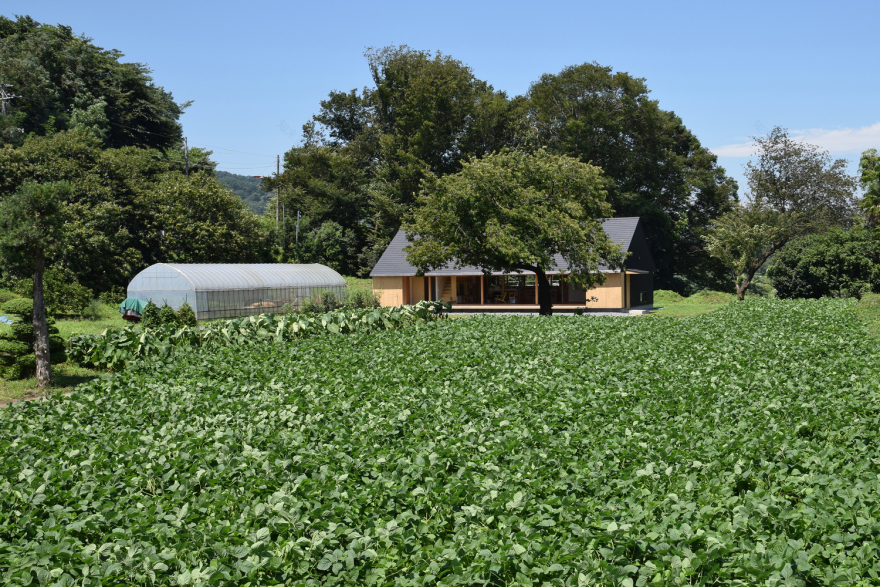 东京郊区现代农舍,自然与人和谐共生-25