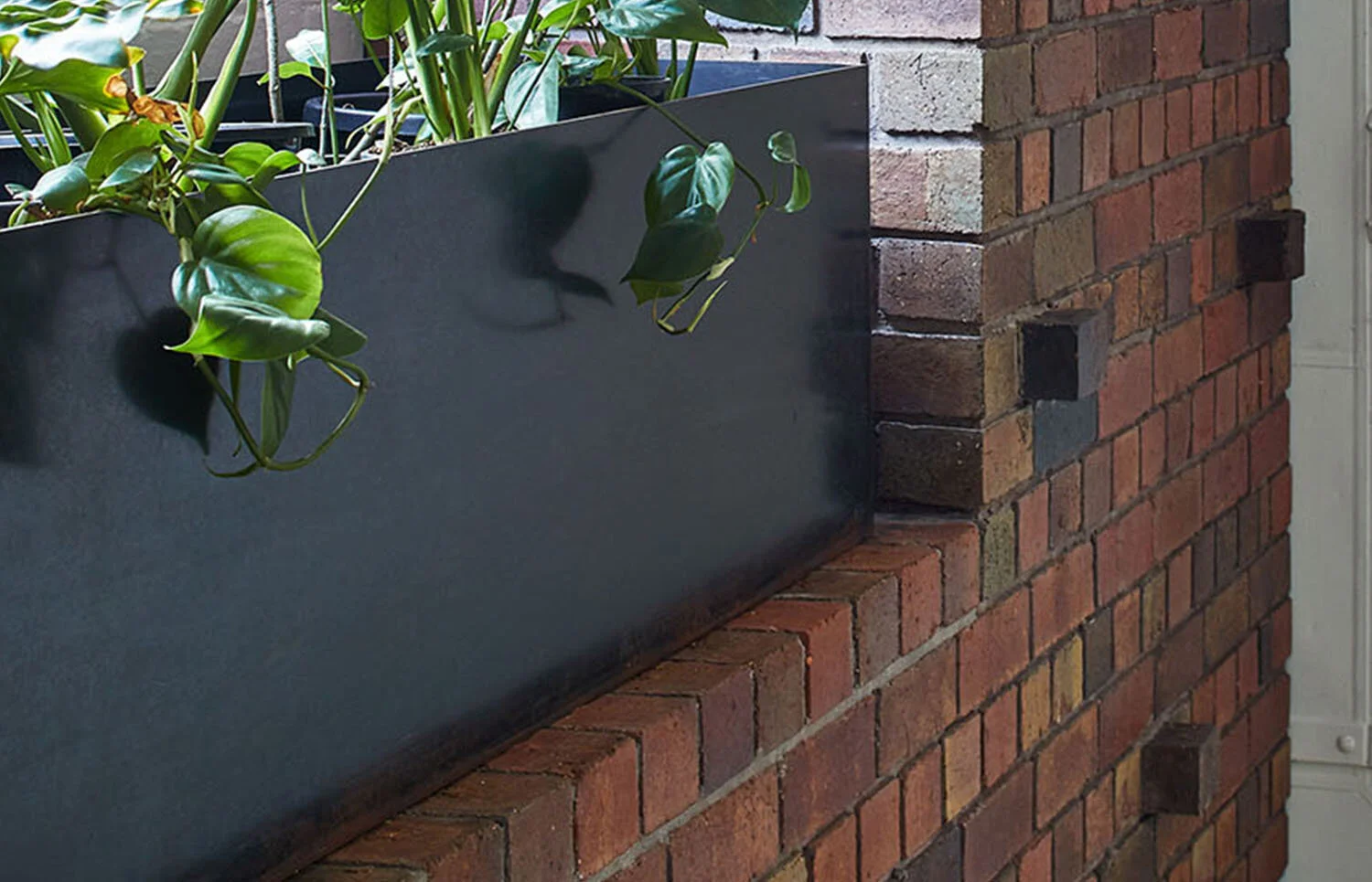 霍姆·科林伍德公寓丨John Wardle Architects-21