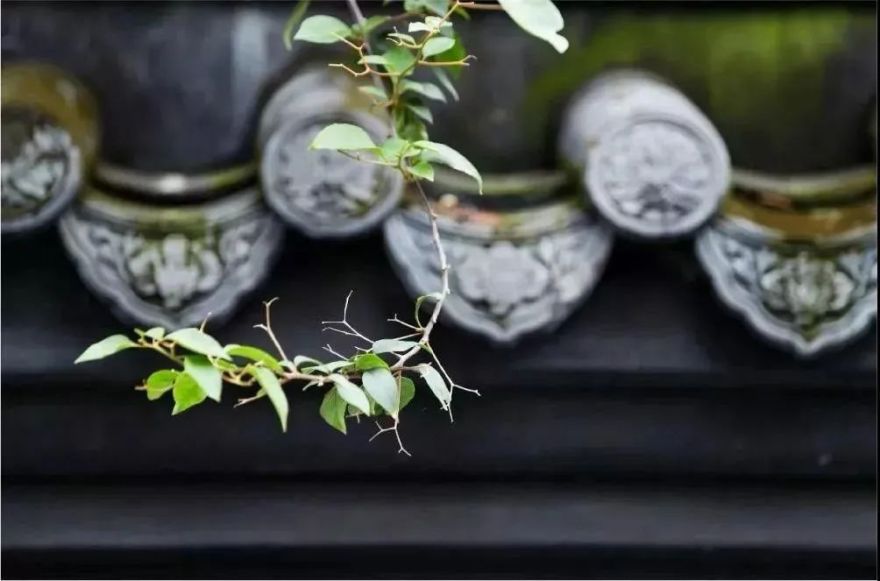 中式庭院之美 | 细节诠释匠心-19