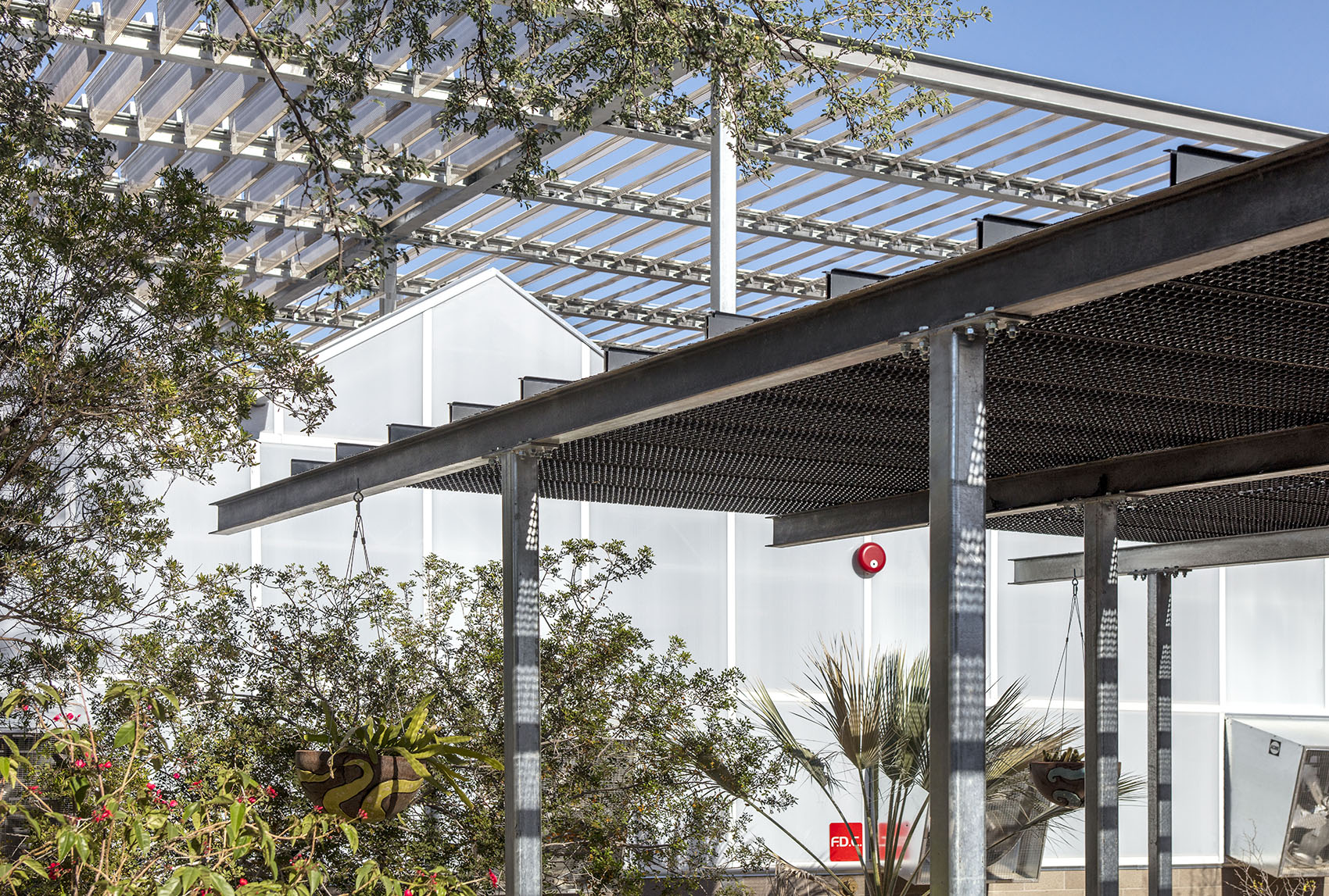 沙漠植物园一期丨美国-85