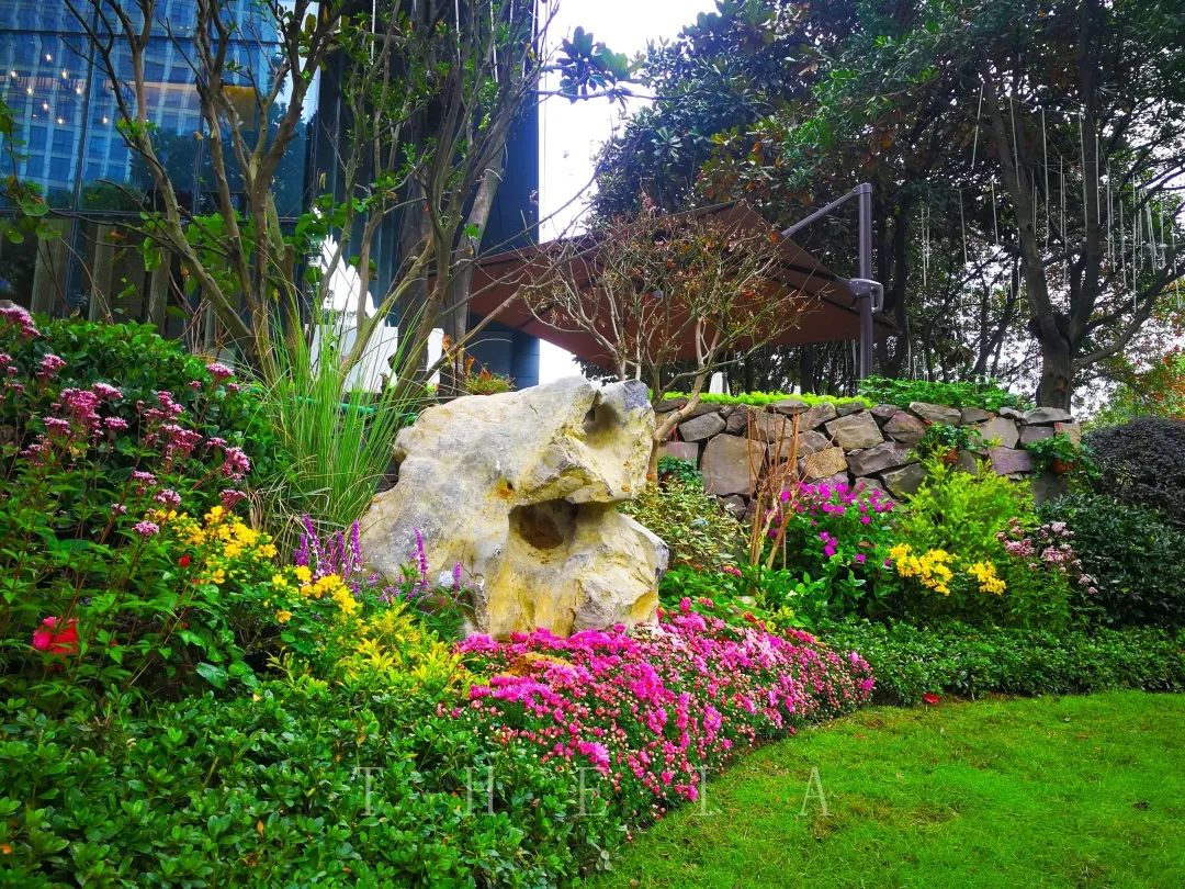 迪赛·东篱 | 闲田信步，采菊东篱-78