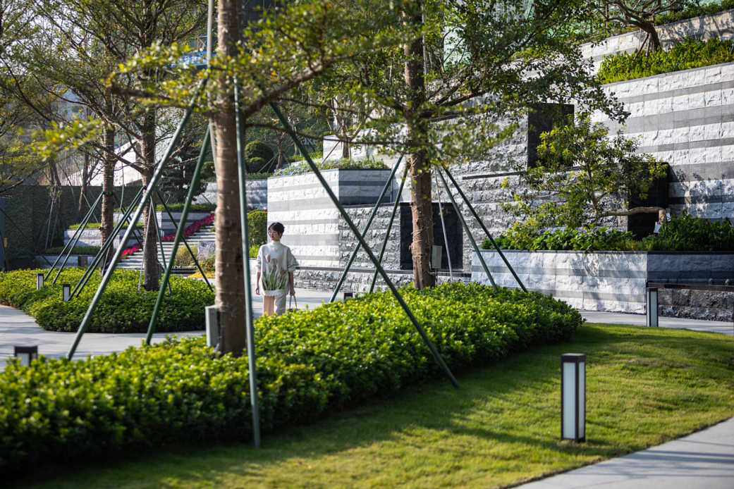 东莞世城·悦湖花园丨中国东莞丨PTLA 柏涛景观-32