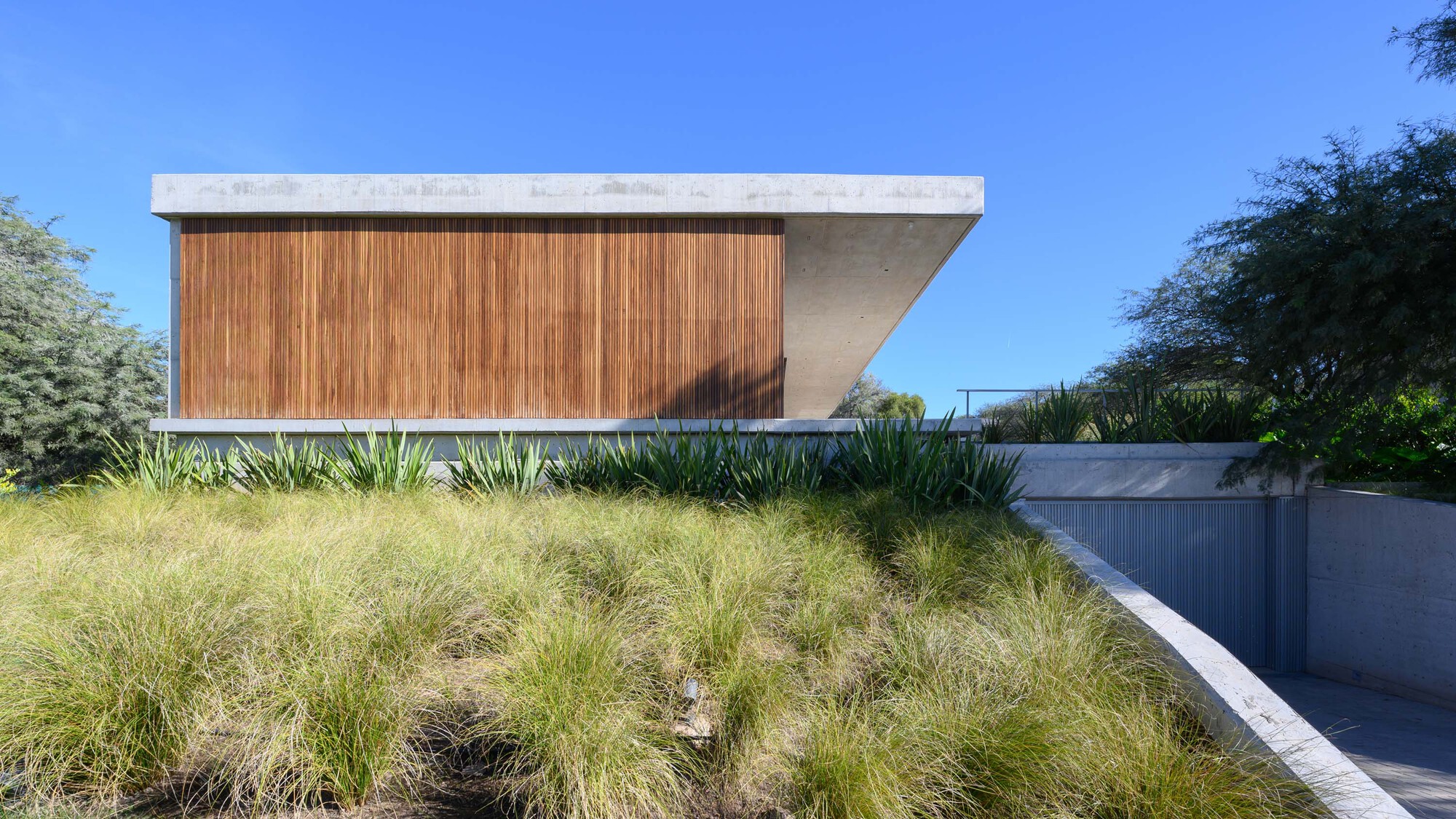 埃尔博斯克住宅丨阿根廷科尔多瓦丨Estudio Montevideo-20