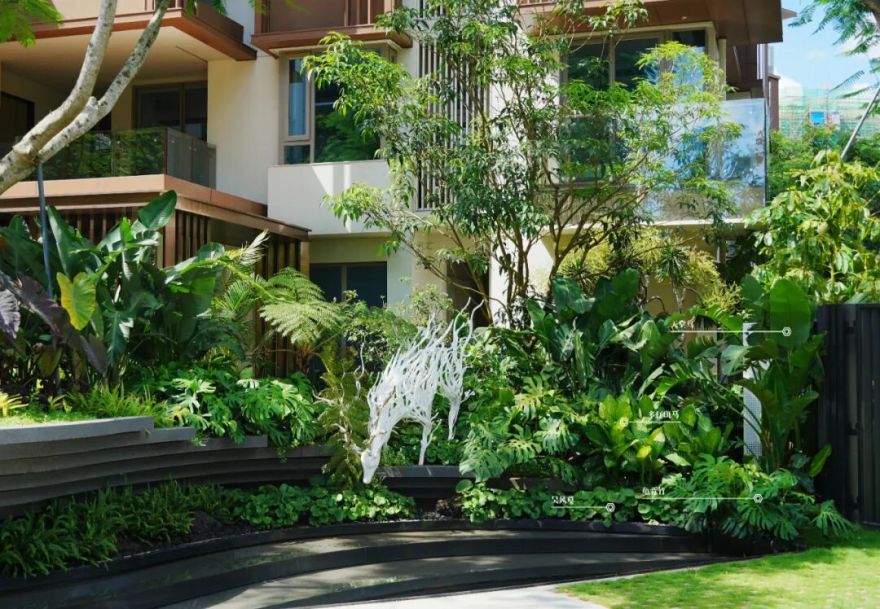 于热带秘境中编织生活美学|江东麓岛阅海澜岸2期花境项目-66