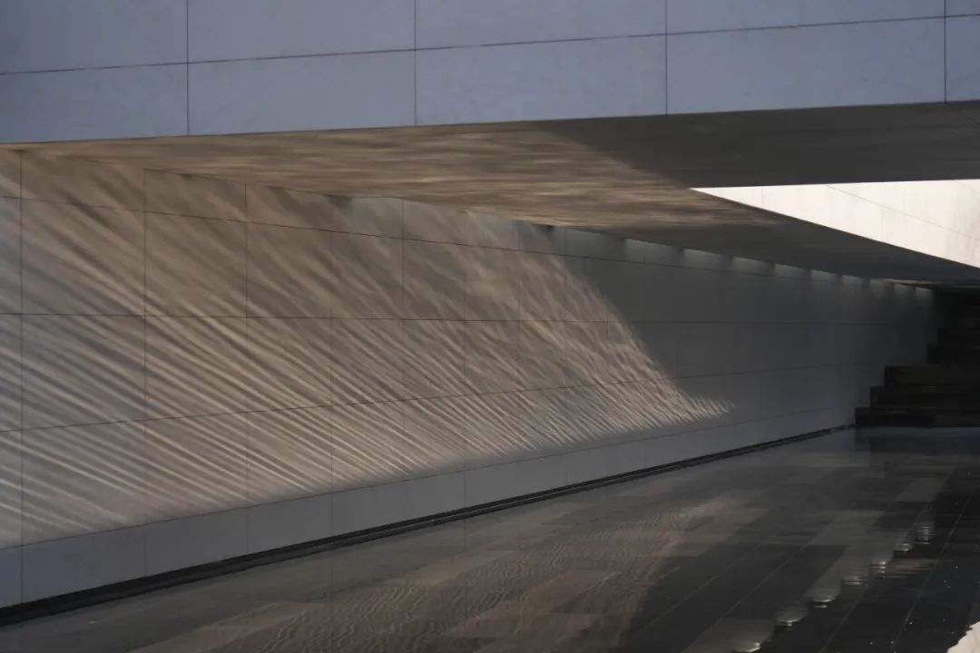 长安有乔木｜中粮 · 大悦未来城城市展厅-138