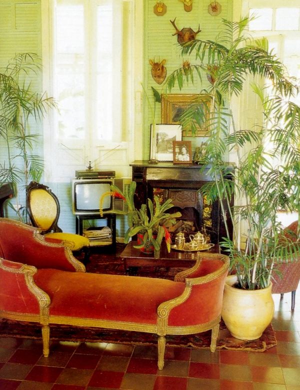 How to Achieve a Tropical Style-3