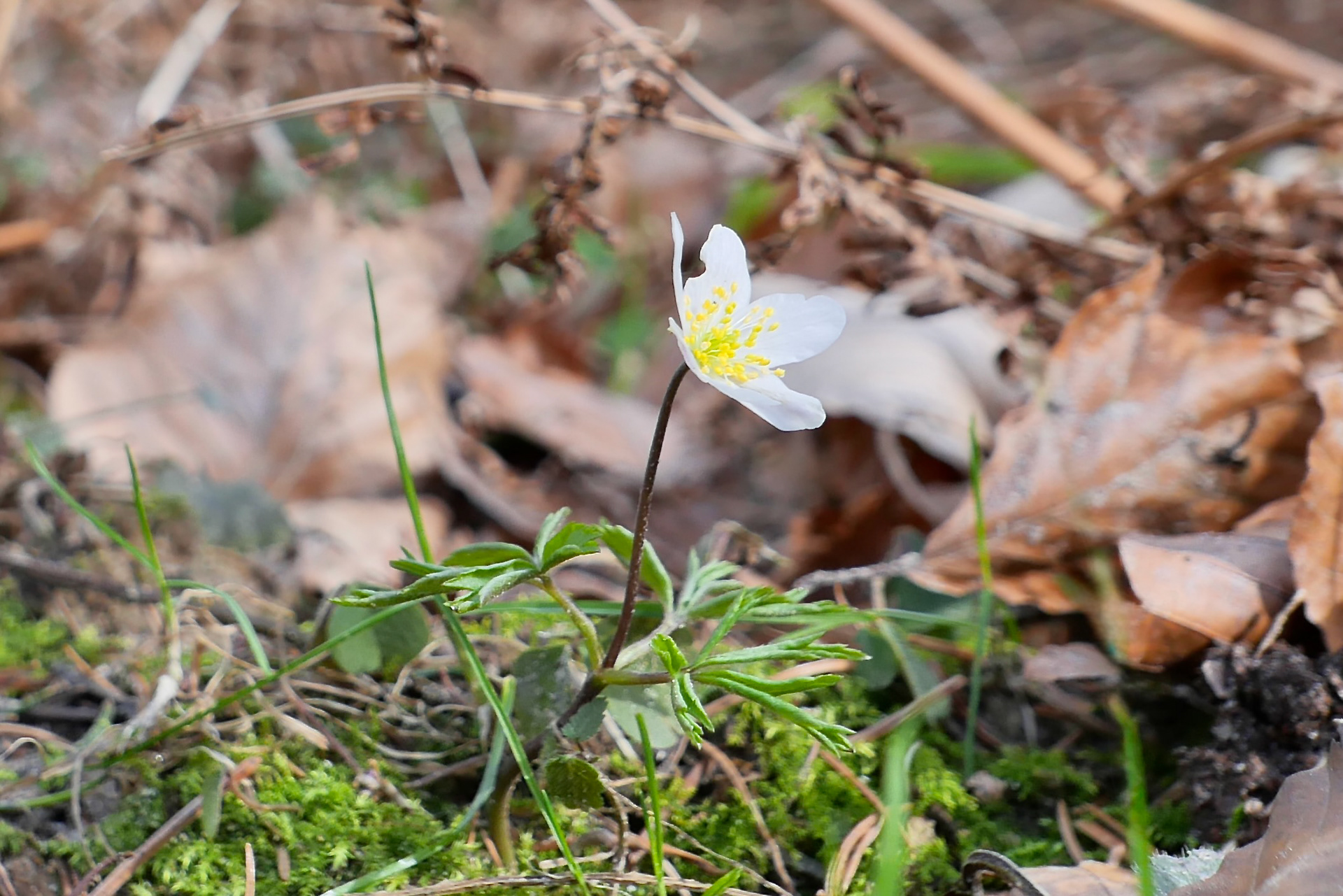 2026年复活节之旅-6