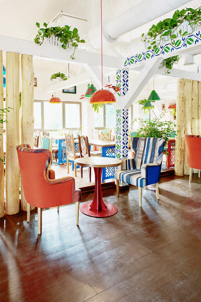 加加林和博科拉什-28