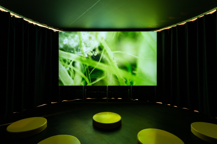 幻海 · 鱼缸中的海洋世界丨2050+,òbelo-9