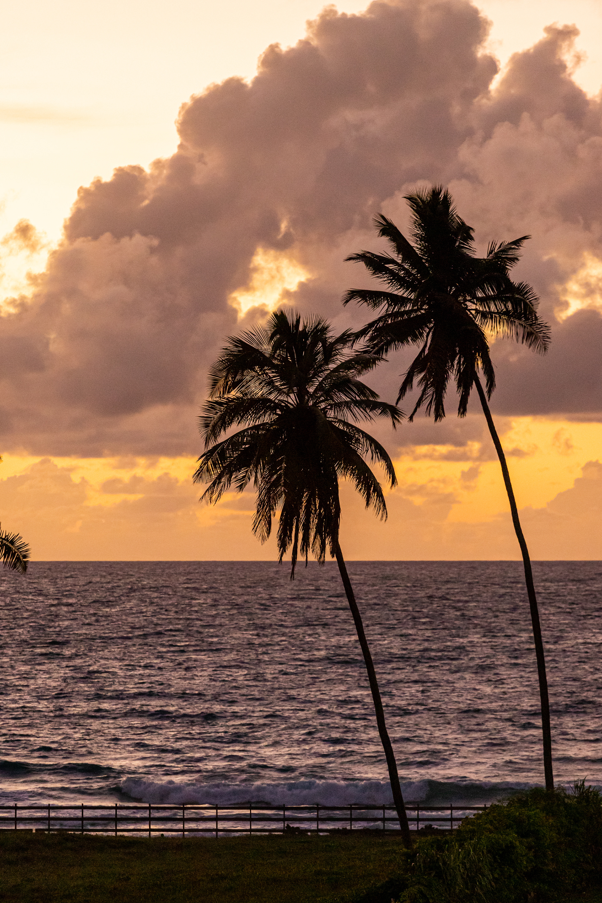 Simulações Abstratas-25