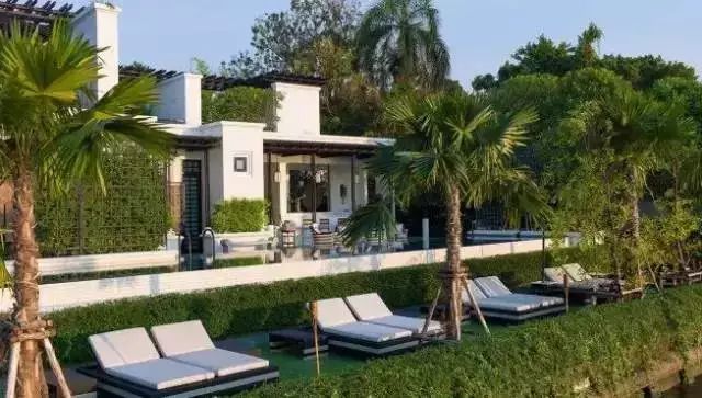 白百合幽会的酒店，我替你睡了-66