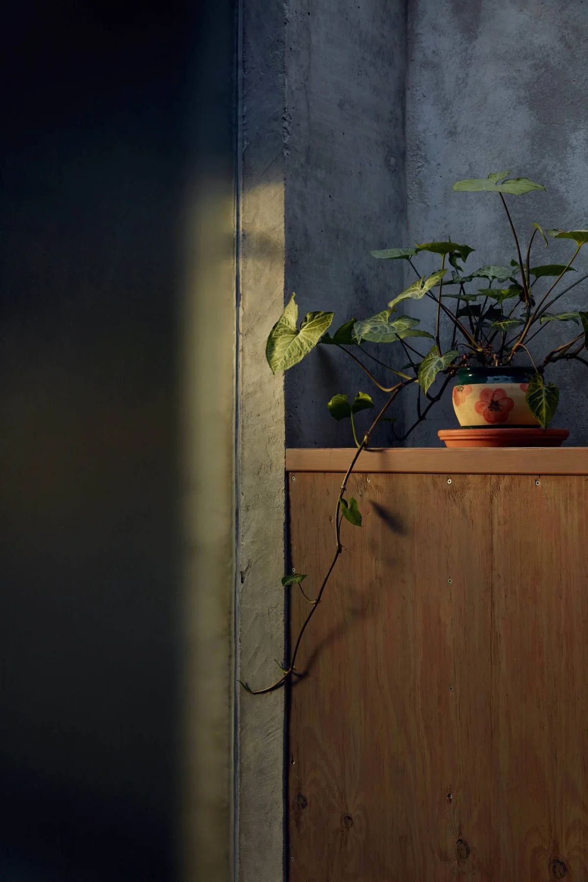 图勒恩韦尔住宅丨澳大利亚丨Paul Couch-24