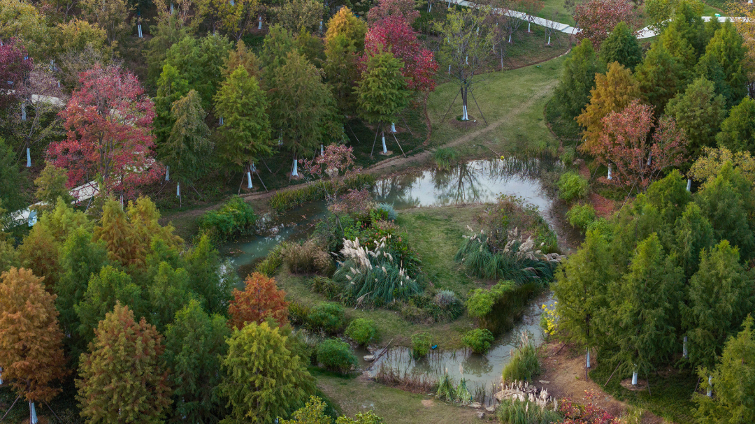合肥骆岗公园景观设计丨中国合肥丨泛亚景观设计（上海）有限公司-74