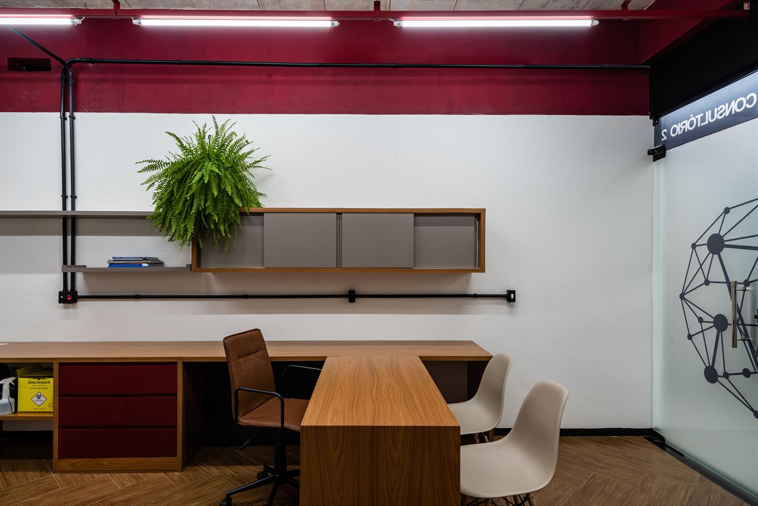 巴西 Instituto Lorentz 运动康复中心-9