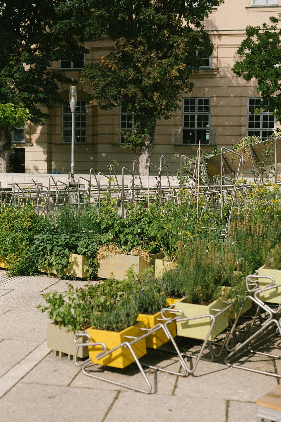 城市绿岛（Sommerbühne）丨德国丨OpenFields-34