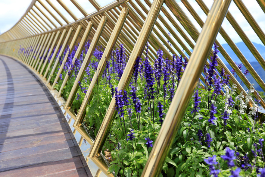 GOLD BRIDGE(越南岘港金桥)丨TA Landscape Architecture-26