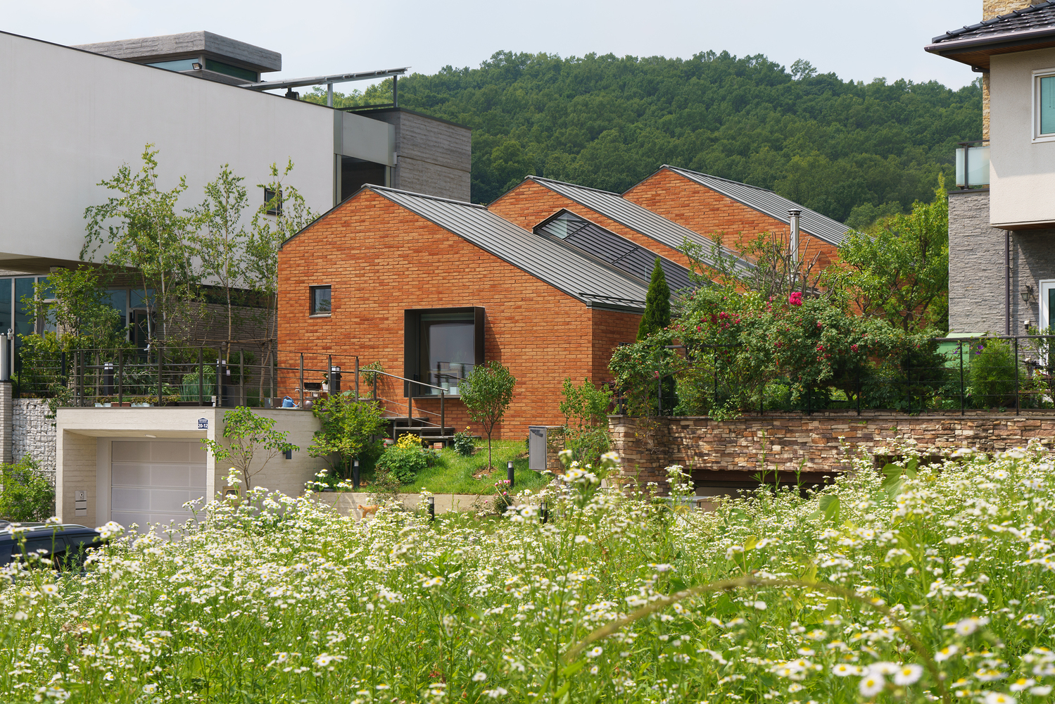 韩国奶奶的“家园住宅”-9