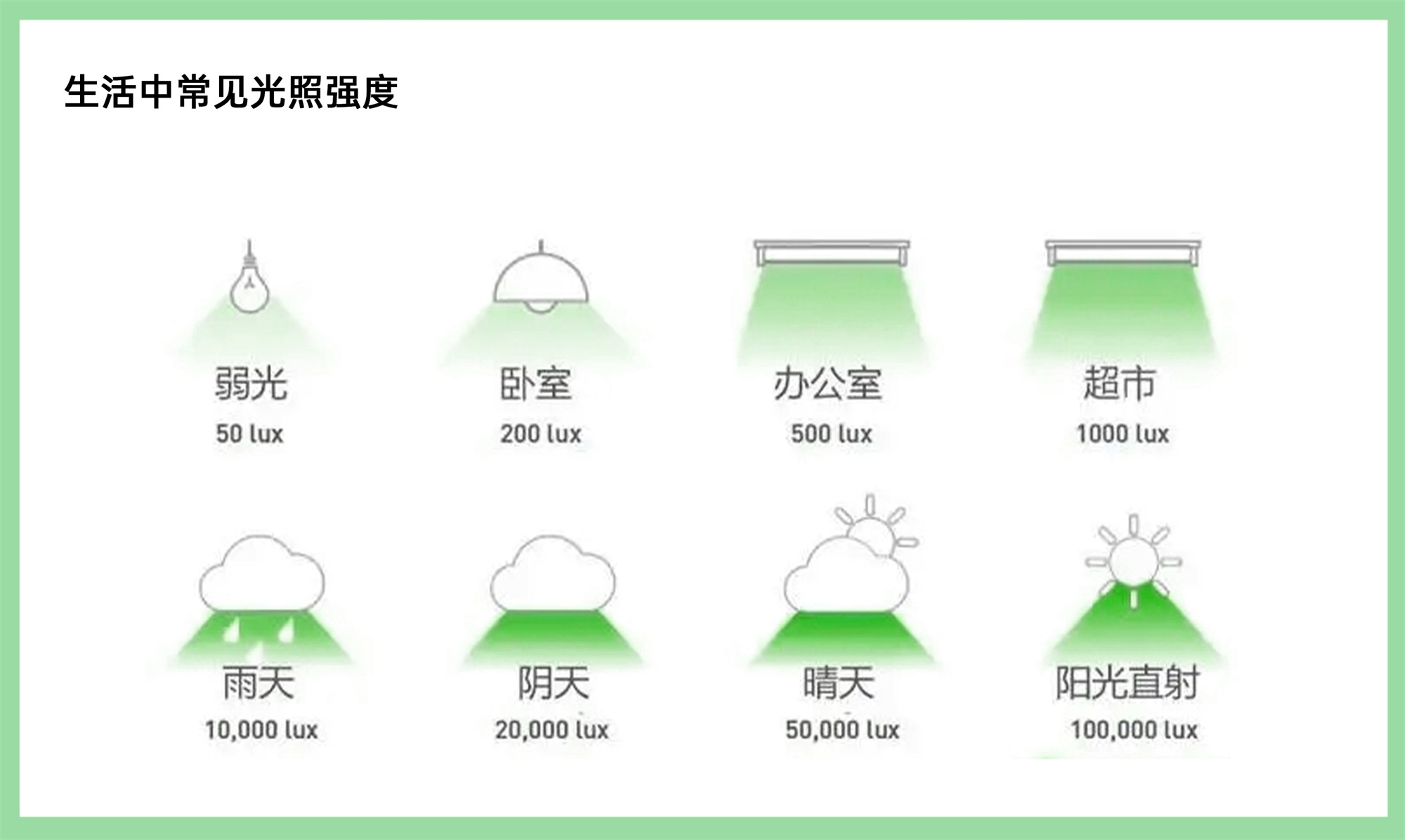 WE HOUSE 物候自然展厅丨我们在办公室造了一个植物园 / 物候设计-142