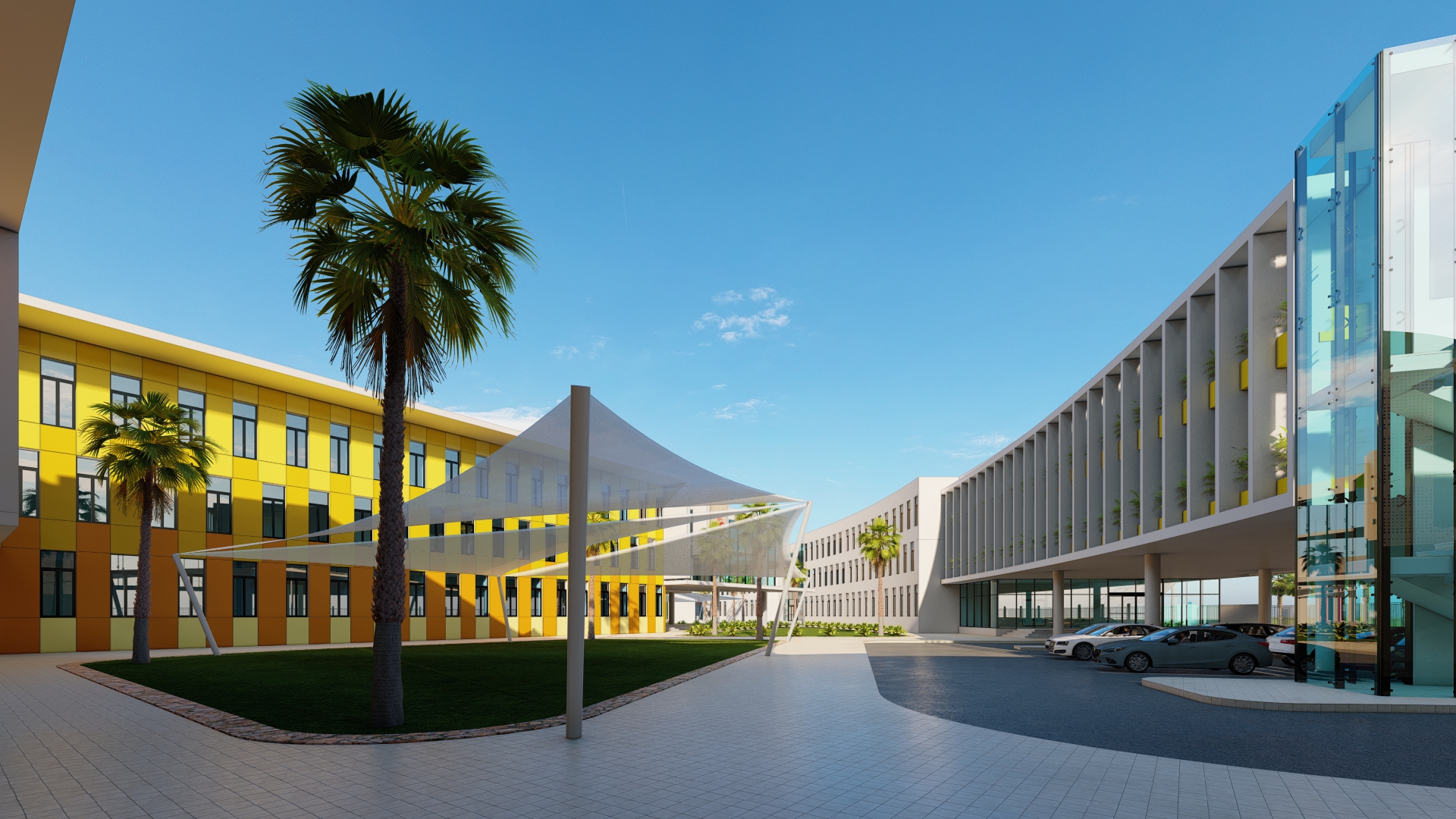 SCHOOL COMPETITION-18