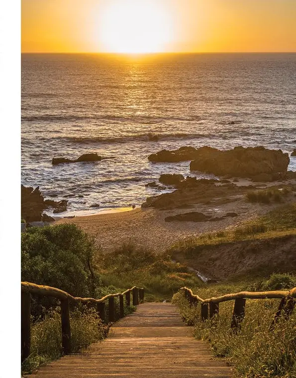 阿根廷 La Pedrera 的木质房屋-1