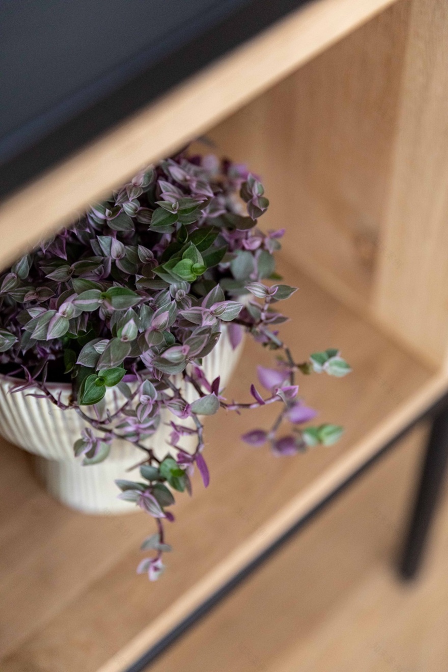 5居室公寓室内设计及家居造型(拉阿南纳)丨罗伊塔尔·阿兹室内设计工作室-12