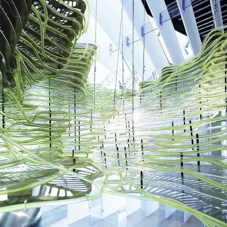 数字未来 2020 全球抗疫公益数字工作营全导师阵容揭晓！-72