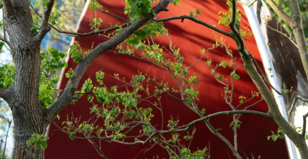 梦回唐朝·梦醒仍是唐潮 | 西安中海开元壹号展示区-16