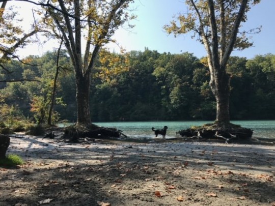 «RHÔNE VERT»,介于自然森林与公园树木之间丨Valérie Hoffmeyer（景观建筑师,记者）-10