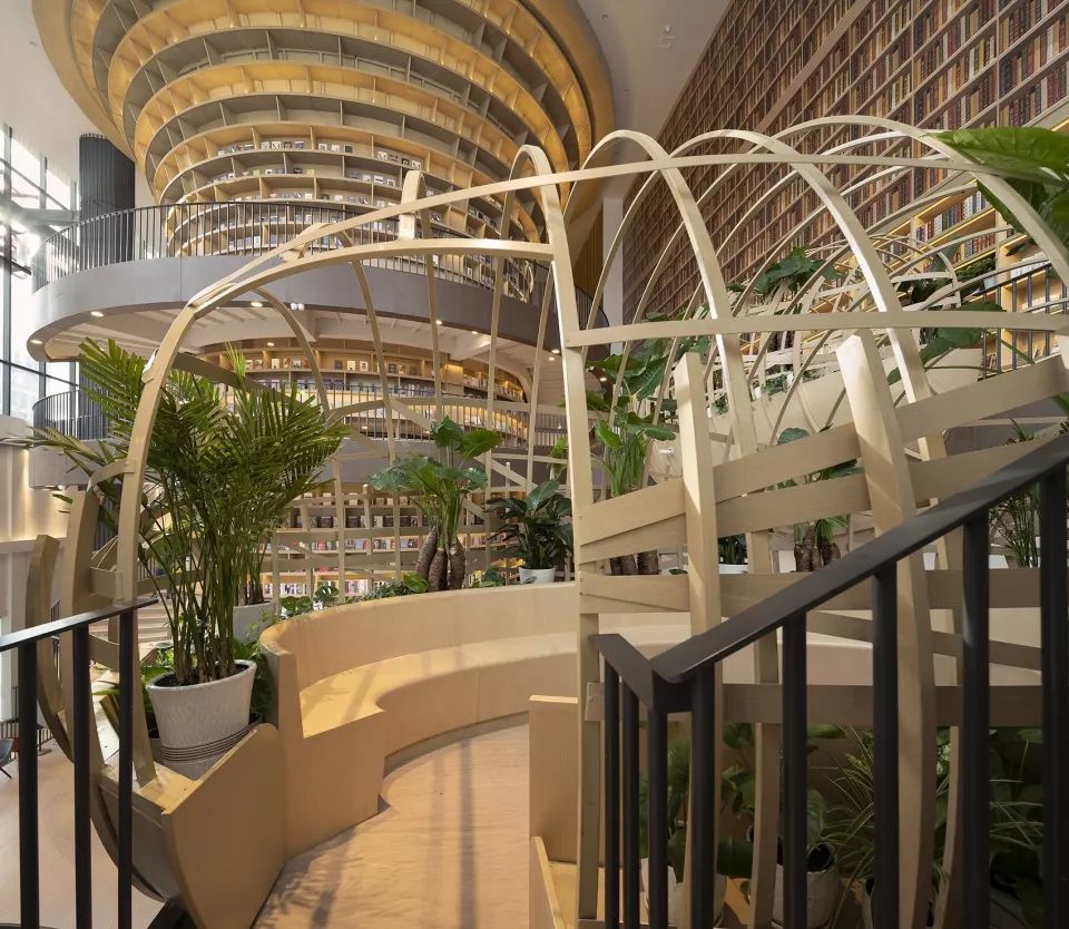 大兴安岭森林的力量 - 众创书局-33