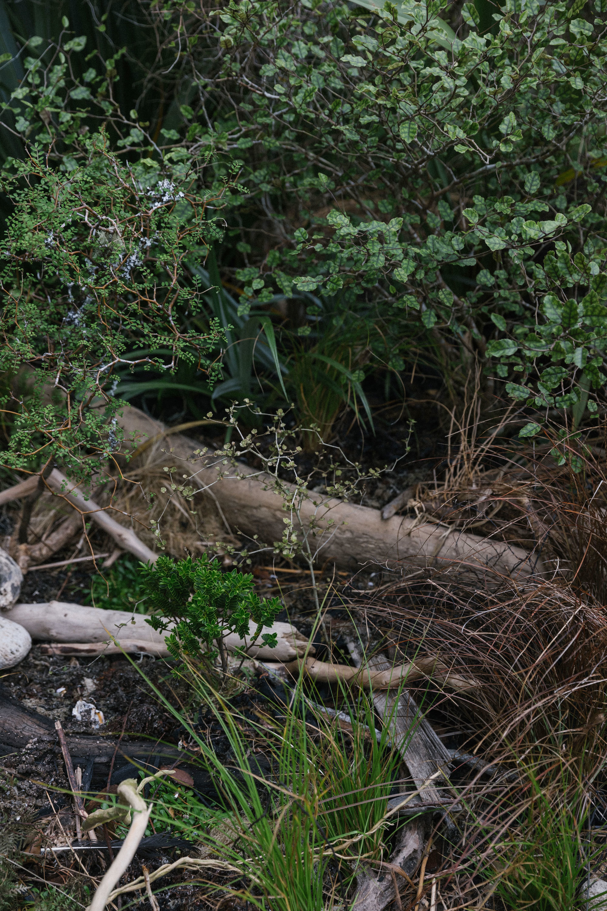 Maggie Marilyn - Xanthe White Design-26