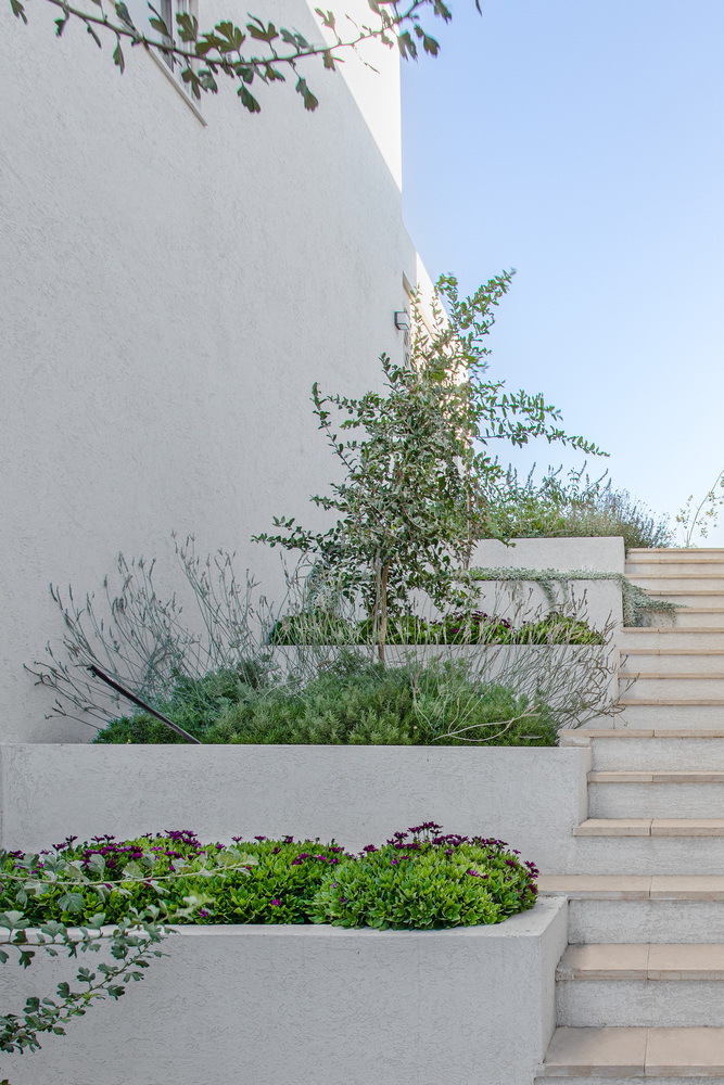 以色列 Goldwasser 别墅丨Architextit Einat ErezKobiler-41