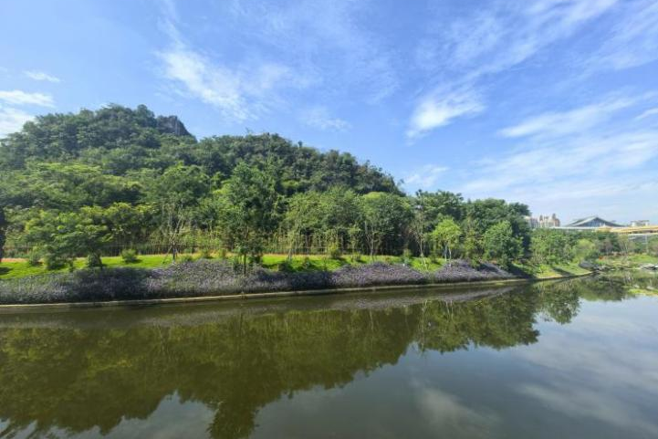 桂林新区山水公园海绵化提升改造工程竣工验收-31