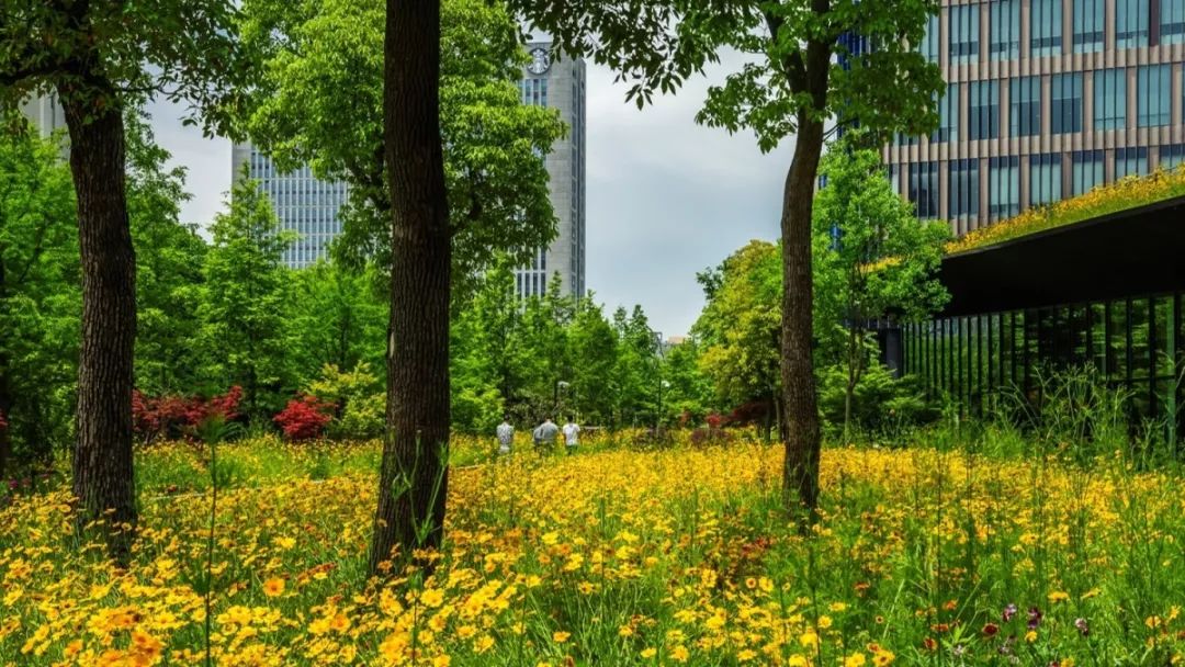 华鑫天地一期 | 建筑与景观的生态融合-67