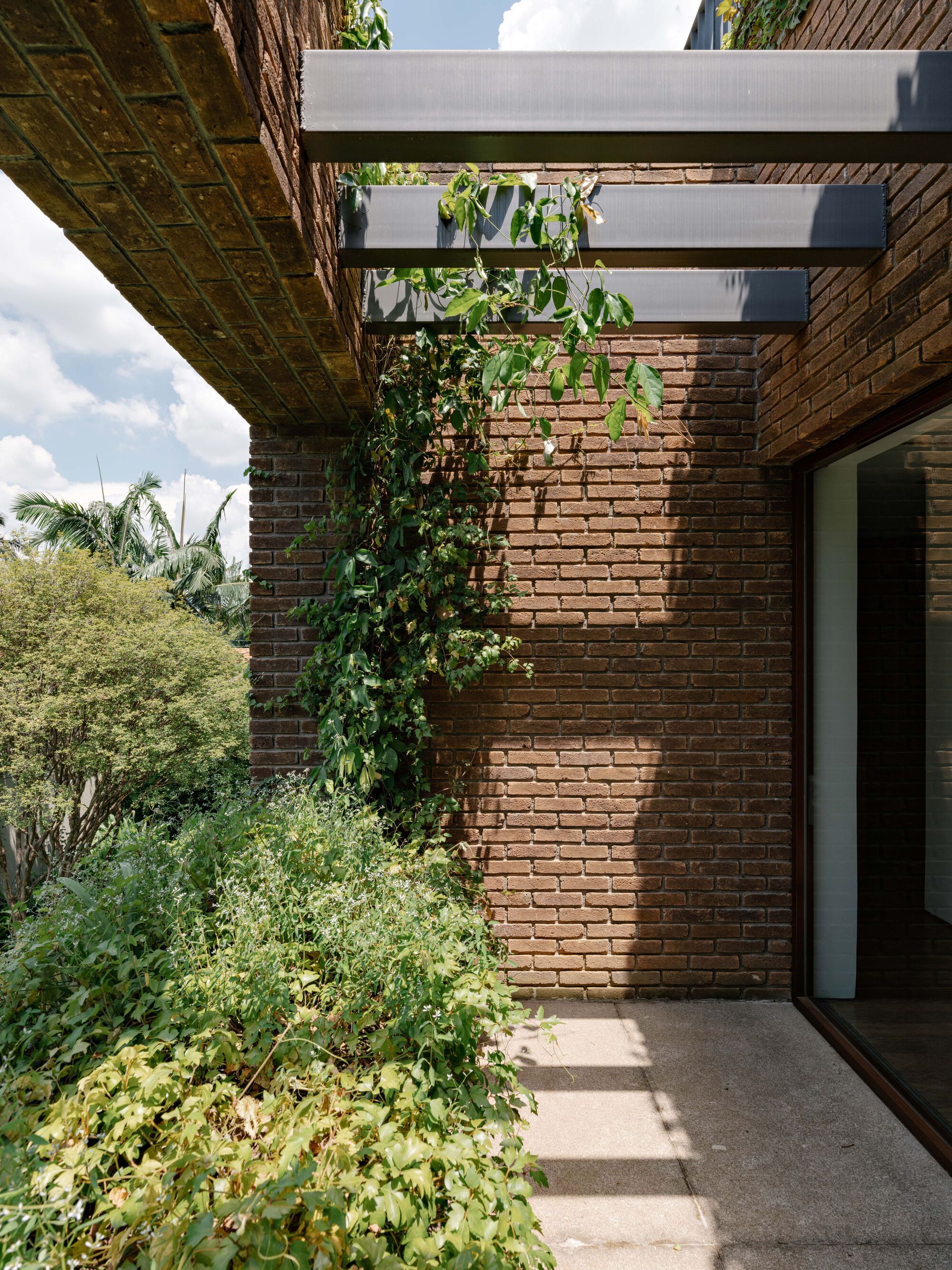 丨巴西圣保罗丨Felipe Hess Arquitetos-42