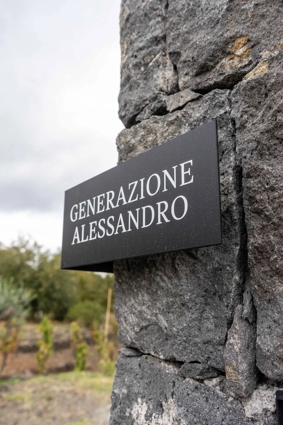 亚历山德罗一代丨意大利卡塔尼亚丨Studio Forward-24