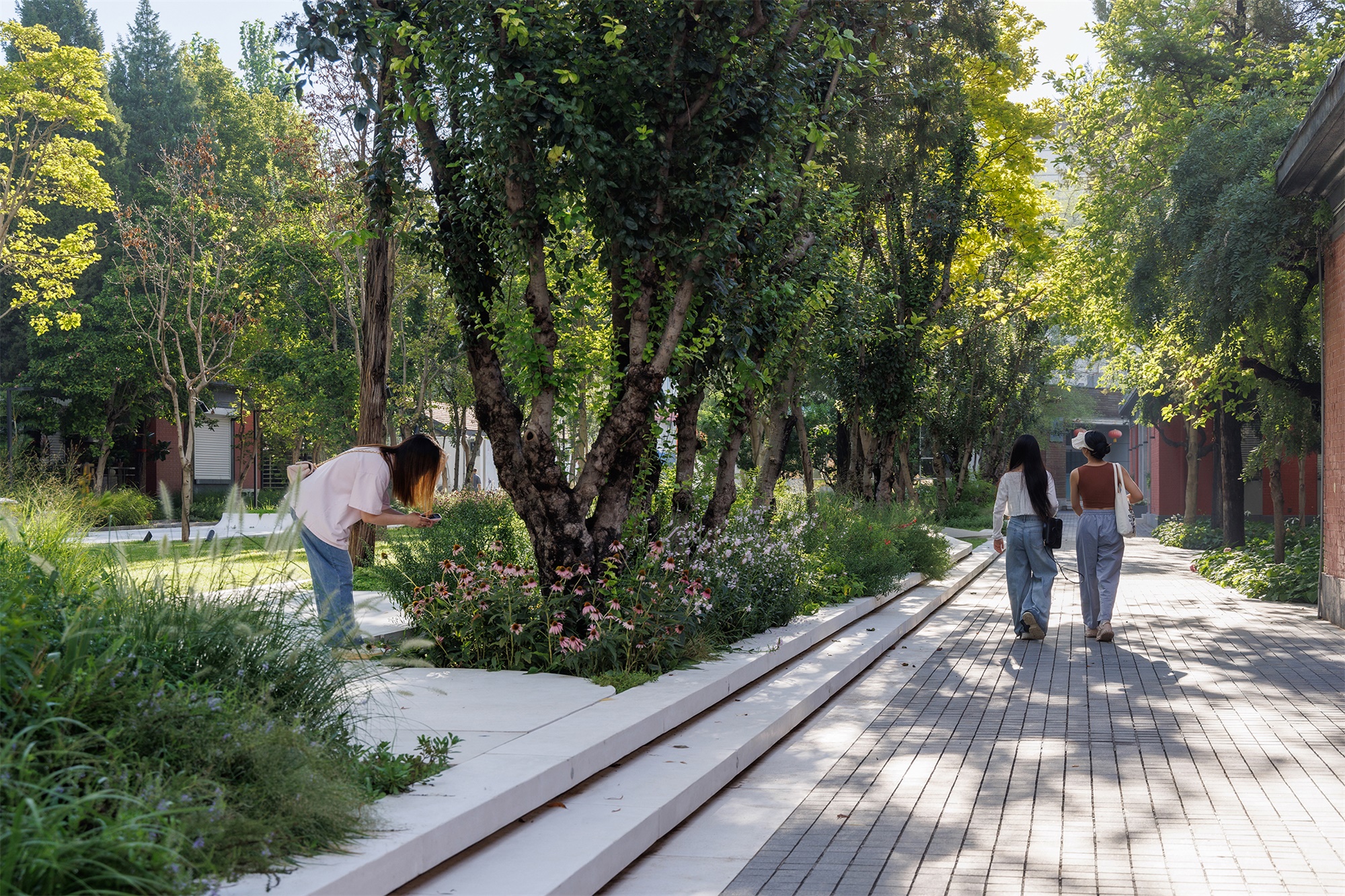 北京市三里屯西五街5号院花园丨中国北京丨OneScape一域景观事务所-64