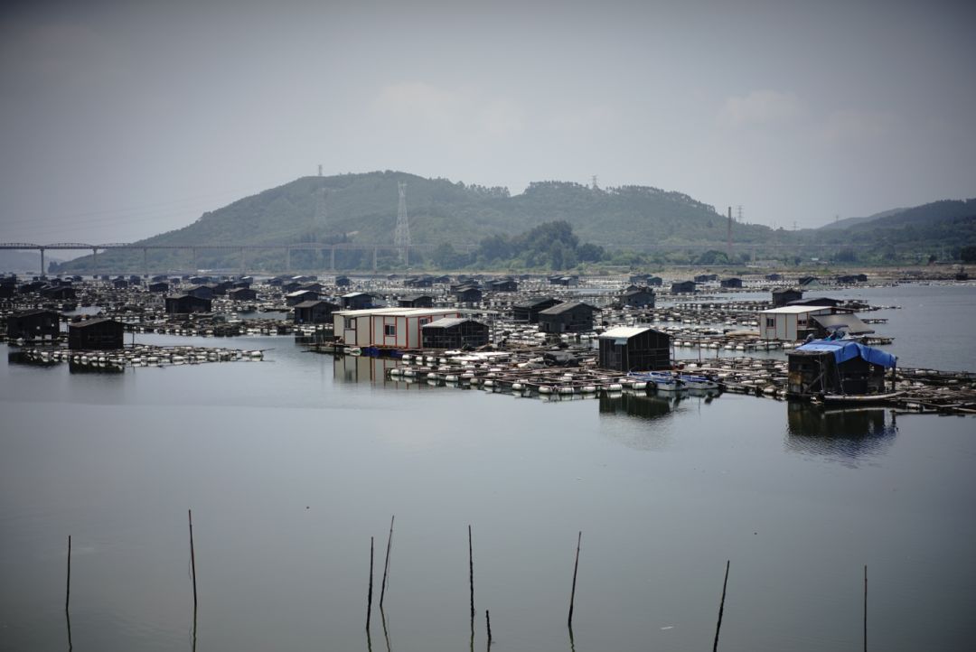 找回生活的幸福感 | 室内设计中的微小美好-39