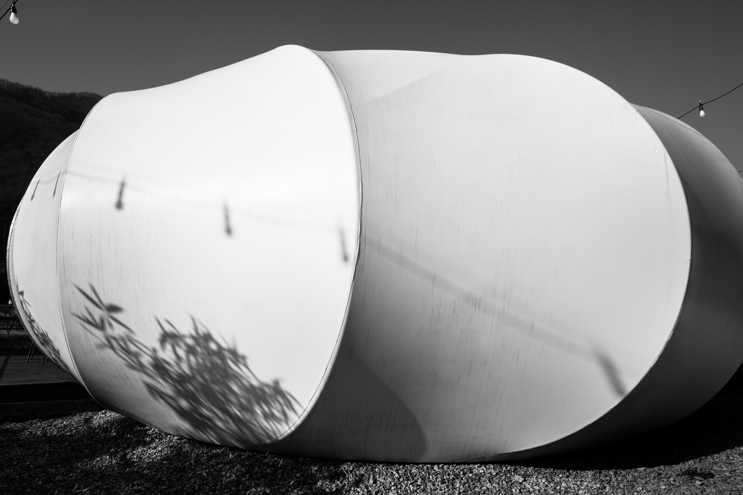 坎普通岛和博物馆-24