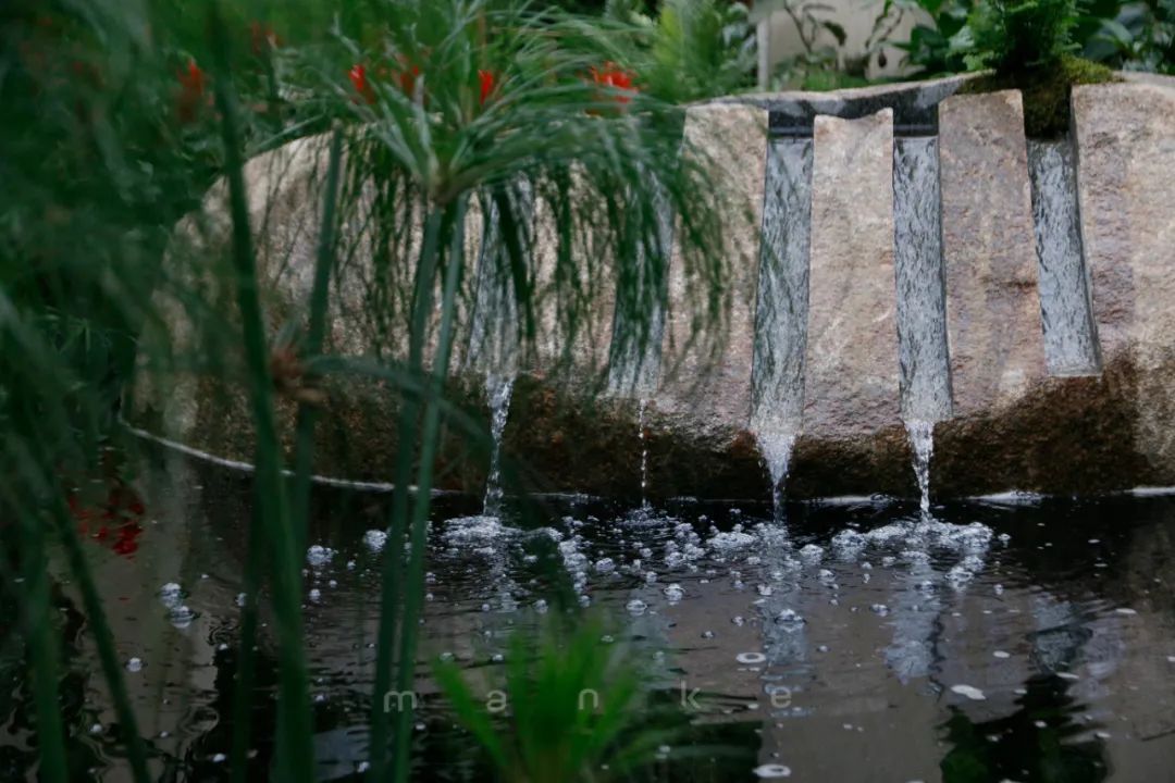 仲夏夜之梦 · 莎士比亚灵感的花园设计丨中国深圳丨Sarah Eberle(英国)-43