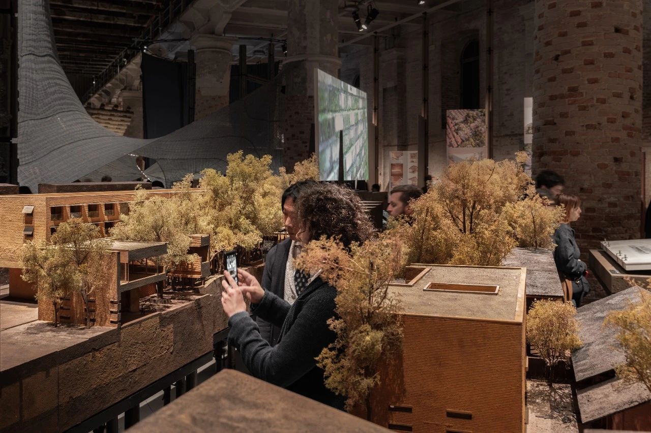 《平凡之树的再生》（聚焦“川上行”项目）丨意大利丨直向建筑-29